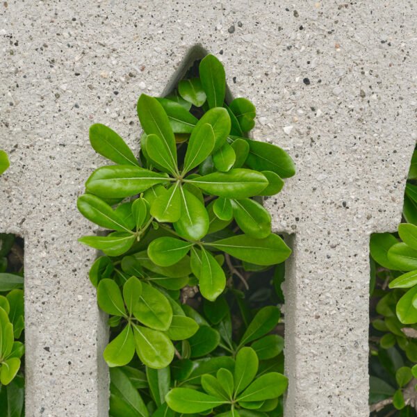 green material in india