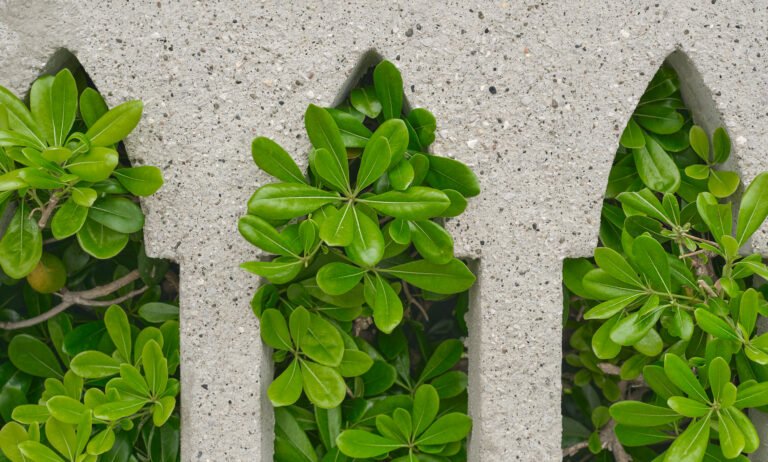 green material in india