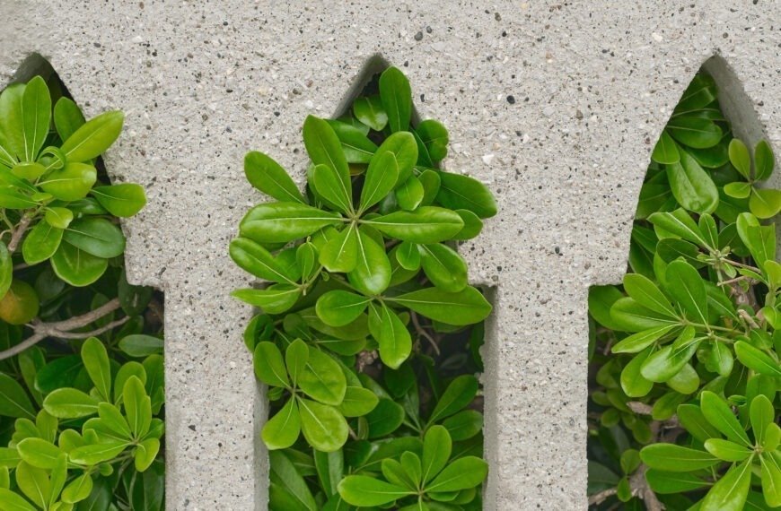 green material in india