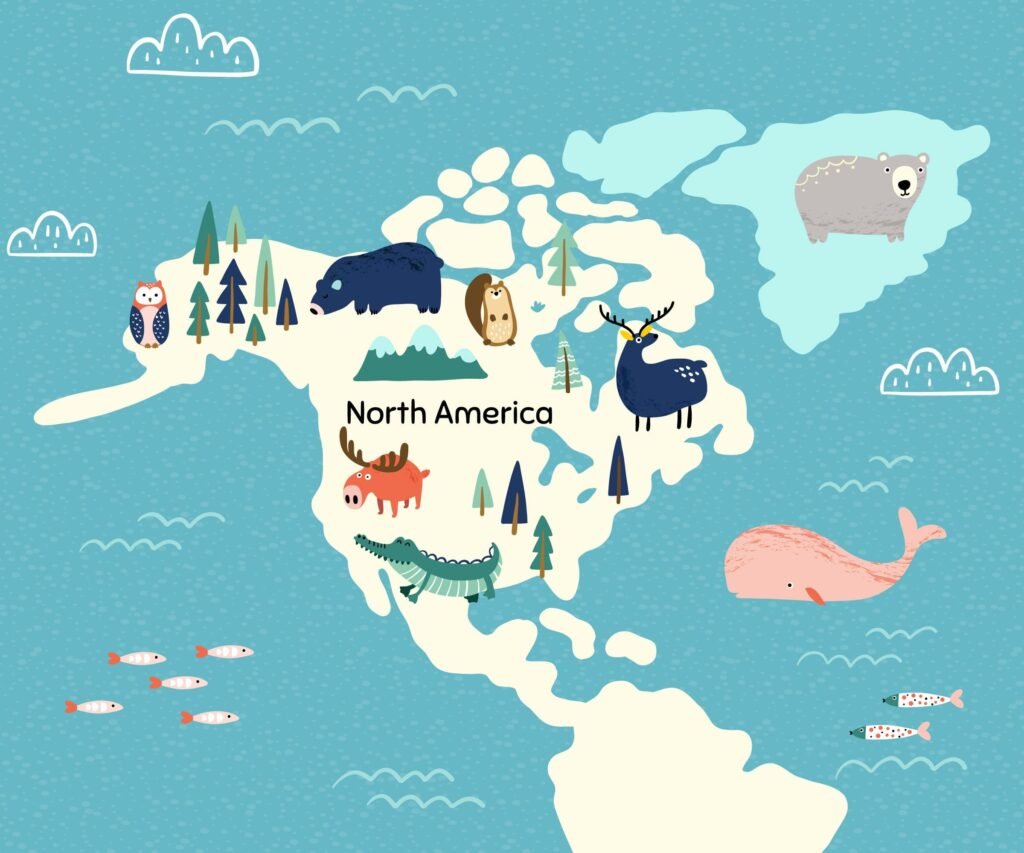 Become buyers from South American Countries